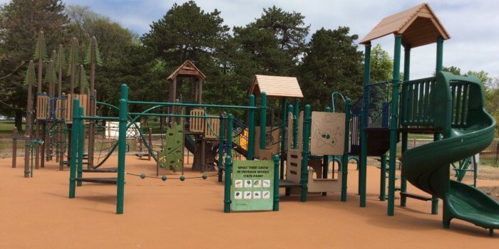 Photo of the overall playground, showing multiple connected play structures in natural colors with tree topped poles