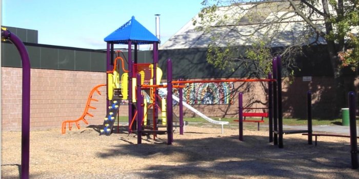 Photo of playground with climbers, slides, and overhead ladder.